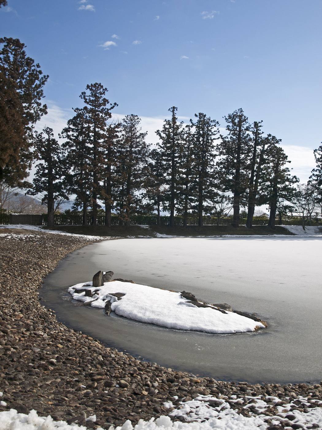 Snow at the edge of Motsuji’s pond below a row of pine trees.